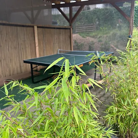 Apartment Tinyhaus & Souterrain In