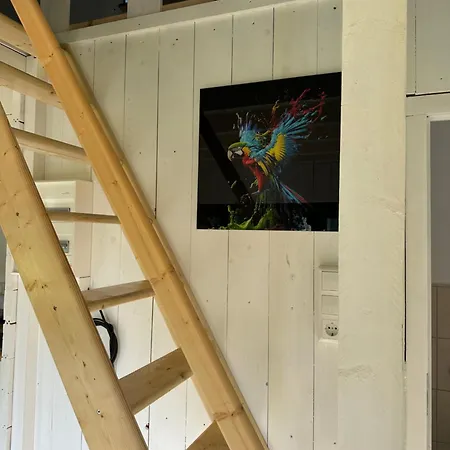 Tinyhaus & Souterrain In Ortenberg (Hessen)